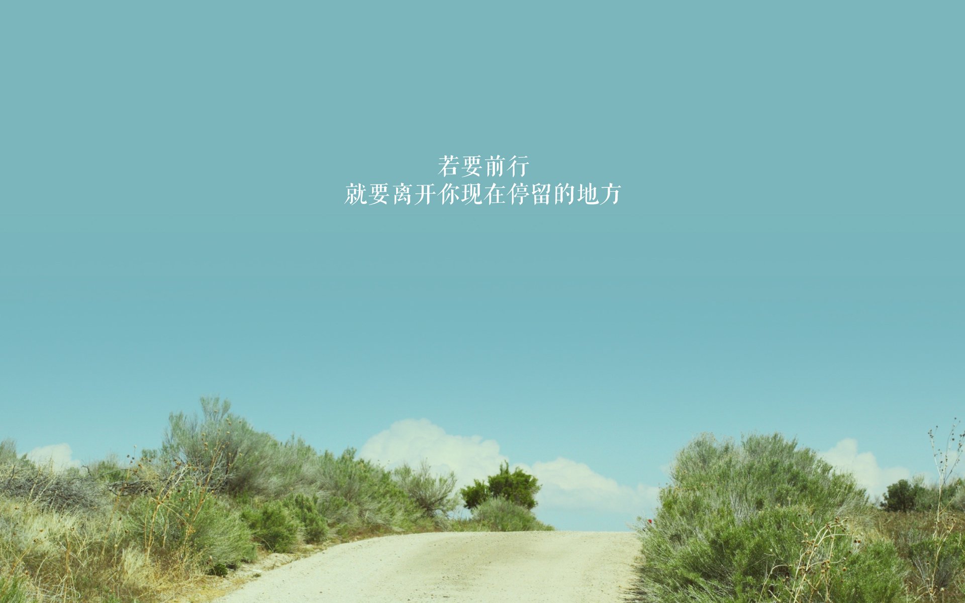 _飞盘运动嘉年华:趣味合作的极致体验_,飞盘运动比赛