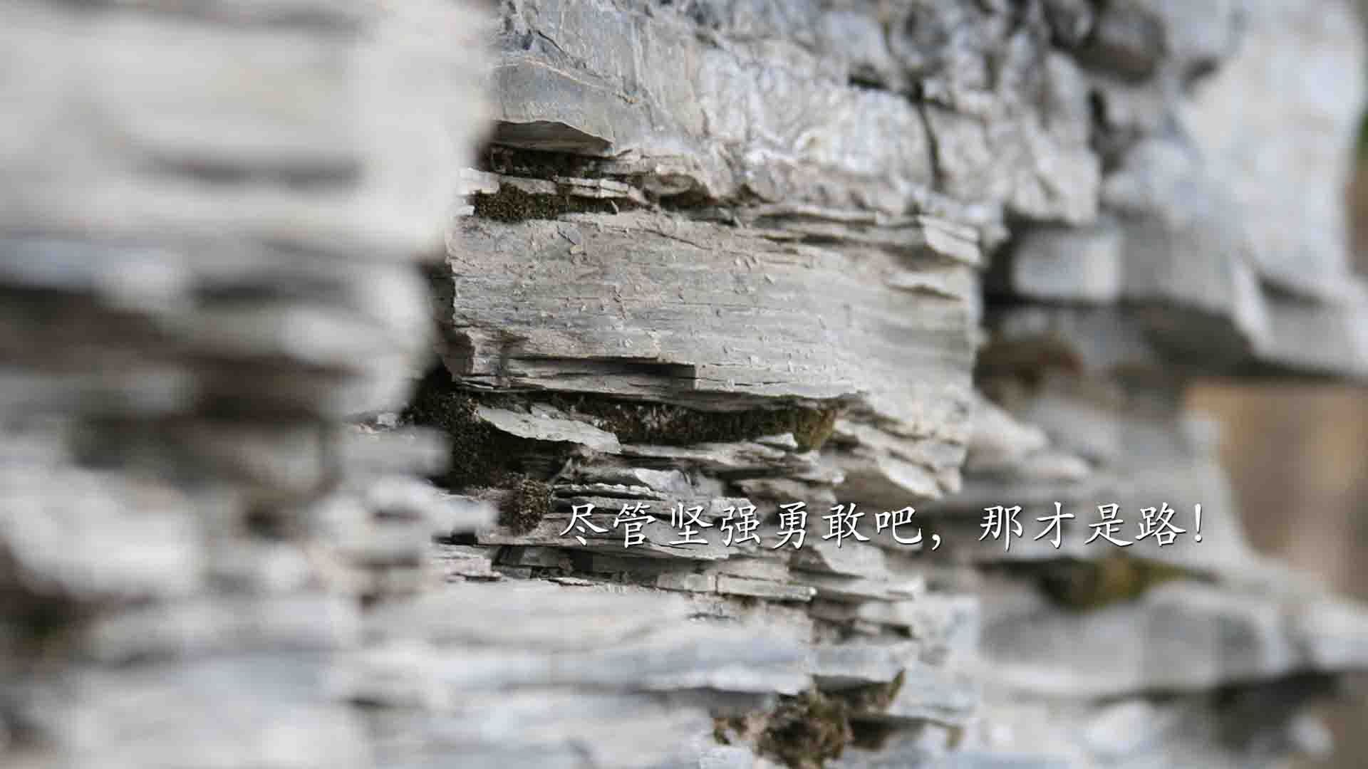 FB体育平台-“中国女足出口国际比赛，展现足球新风采”，中国女足遭遇盘外招