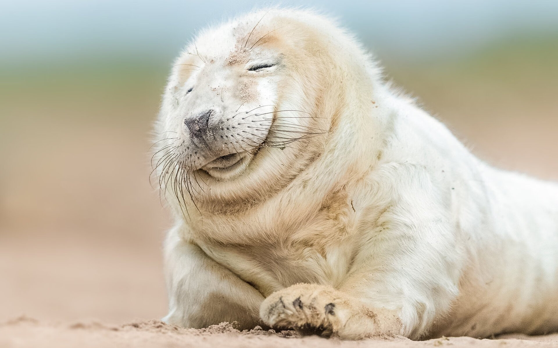 “法甲豪门迎来关键战，胜者稳步向前”，法甲豪门球队排名前十