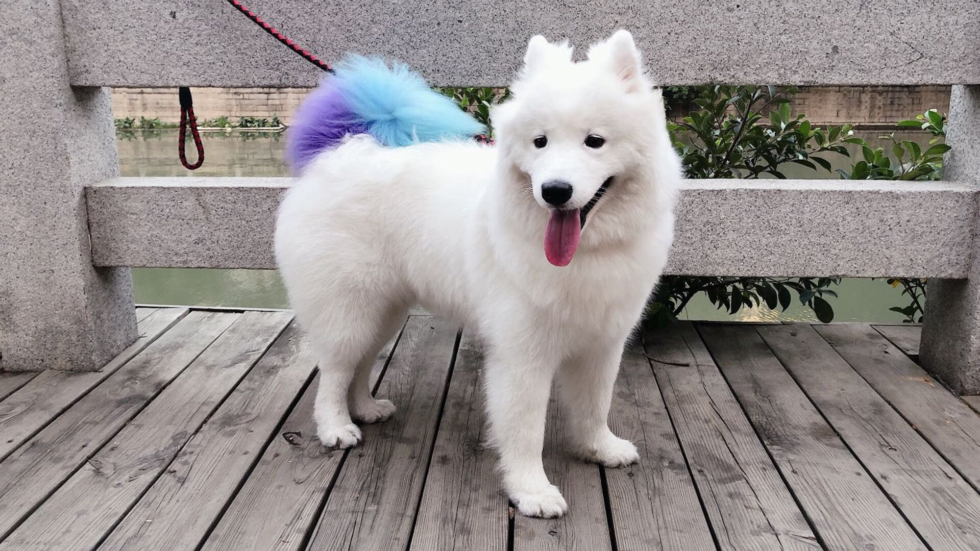 FB体育在线-“西甲焦点战：明星对决引爆全场热情”，西甲大牌球星