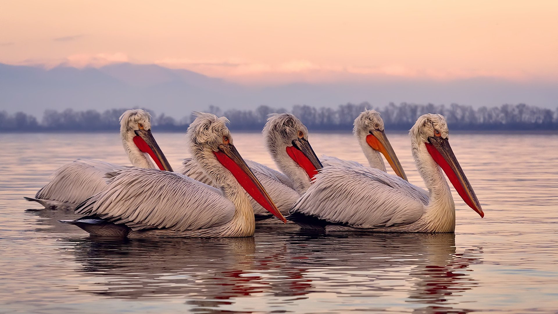 FB体育app下载-《CS_GO枪火重燃，关键比赛悬念连连》，cs go枪