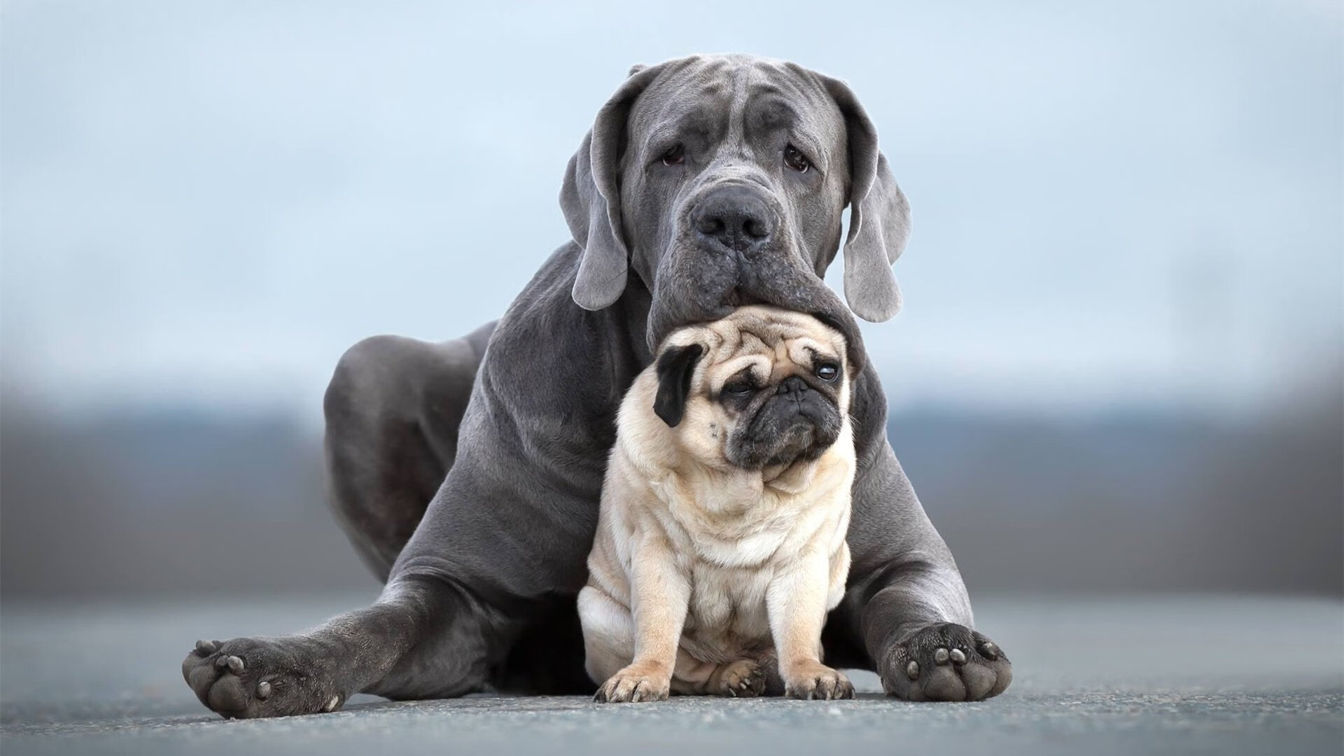 FB体育网页版-德甲赛场出现新颖战术布局，德甲球赛