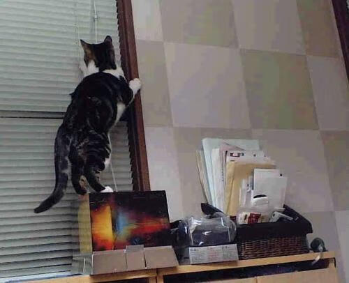 未来联盟:科技优化战术。数据和战术深度融合到极致,英雄联盟未来科技图案是什么