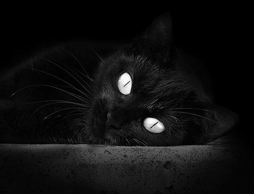 中超联赛是否应限制外援数量以扶持本土，中超联赛允许几个外援上场