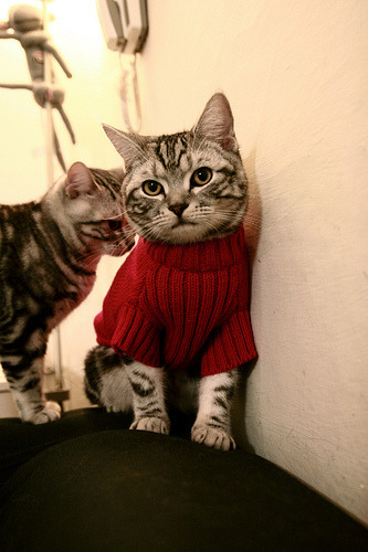 热血拼搏：双方拼尽全力，场上情绪高涨，热血拼搏的文案