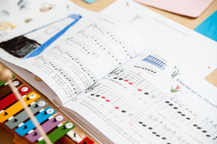 fb体育app官网-中小学体育教师继续教育体系建设与实施研究，小学体育继续教育考试试题及答案