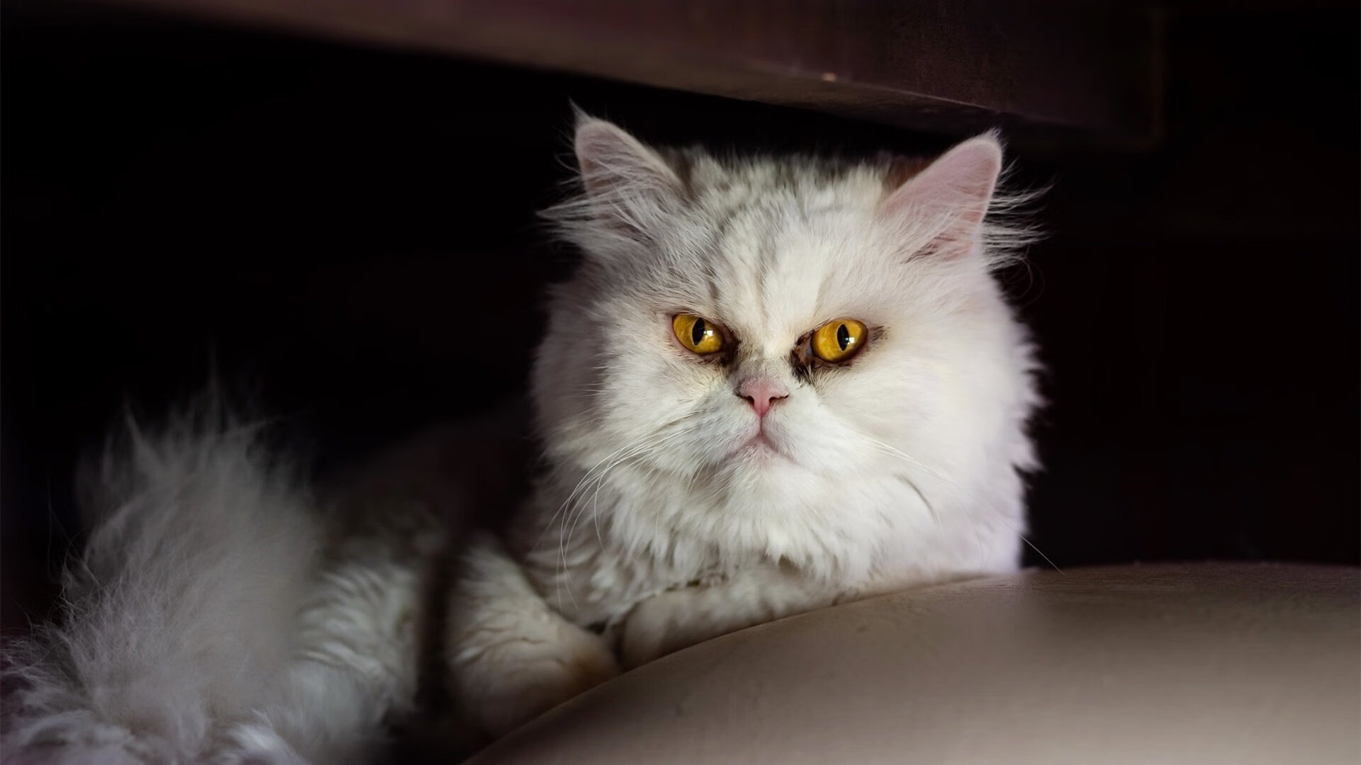 中超球队阵地战组织力评估，中超分组排名