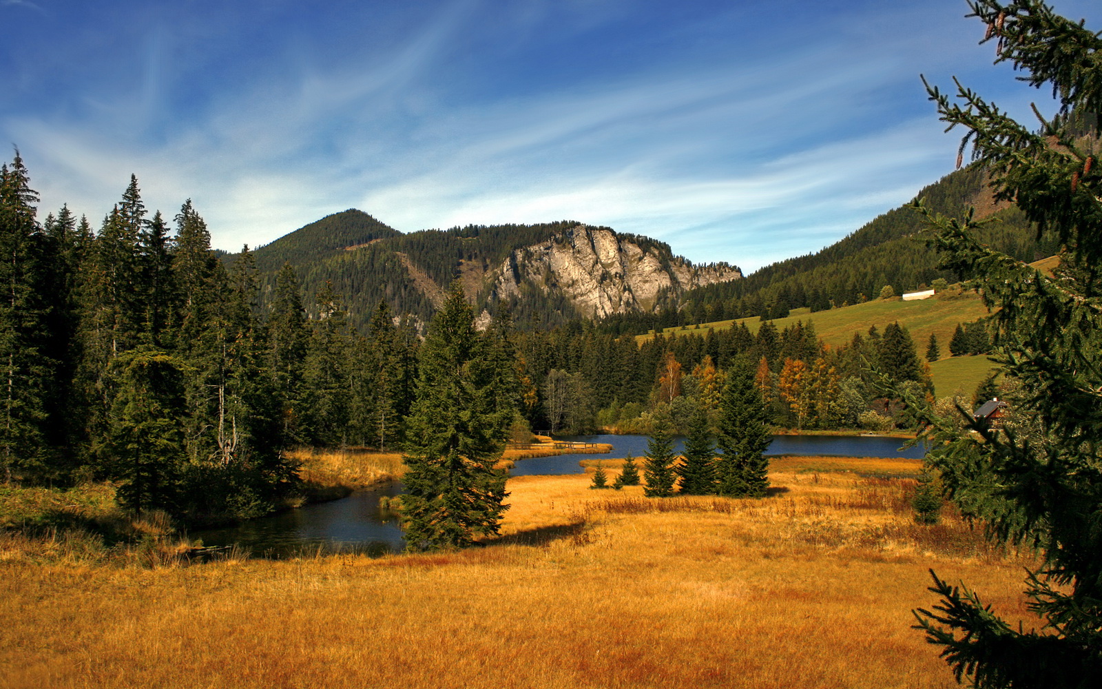 “东部新区缆绳滑水赛事:挑战力与技巧的极致碰撞”