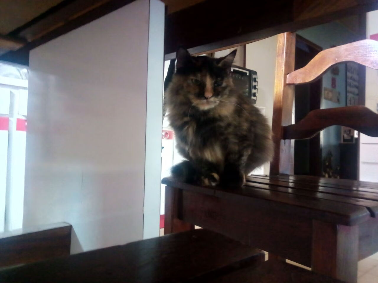 fb体育全站-国家队集训地选址影响球员状态恢复，国家队集训队